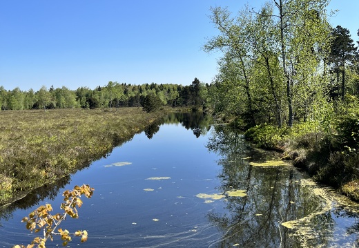 23-05-27 10-44-58 5720